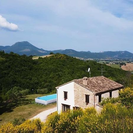 Podere Le Serre Cingoli Dış mekan fotoğraf